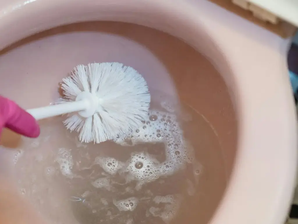 馬桶清潔凝膠（500 毫升）