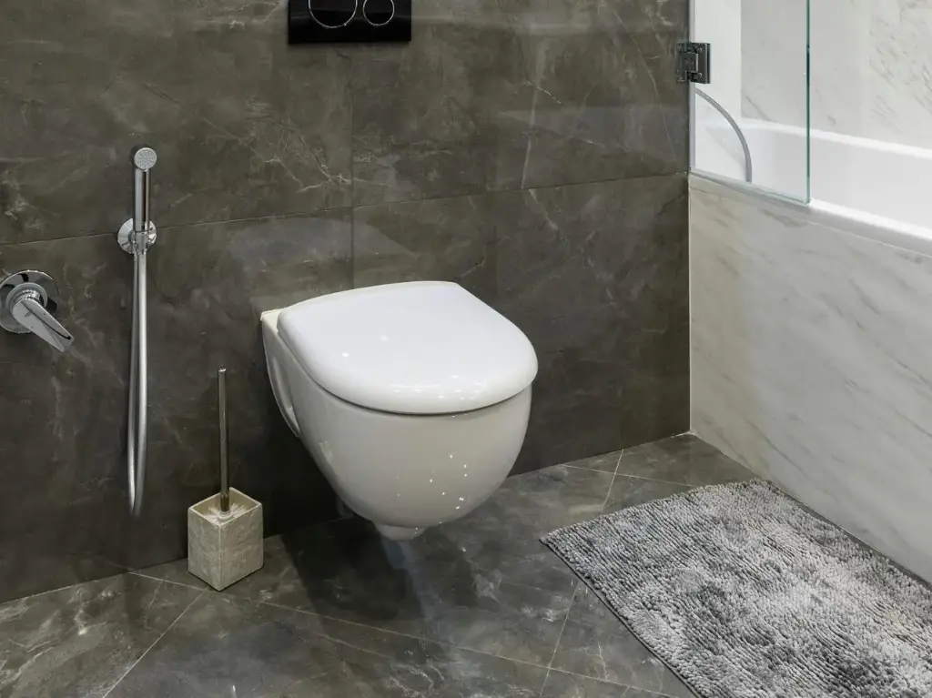 壁掛式馬桶本體