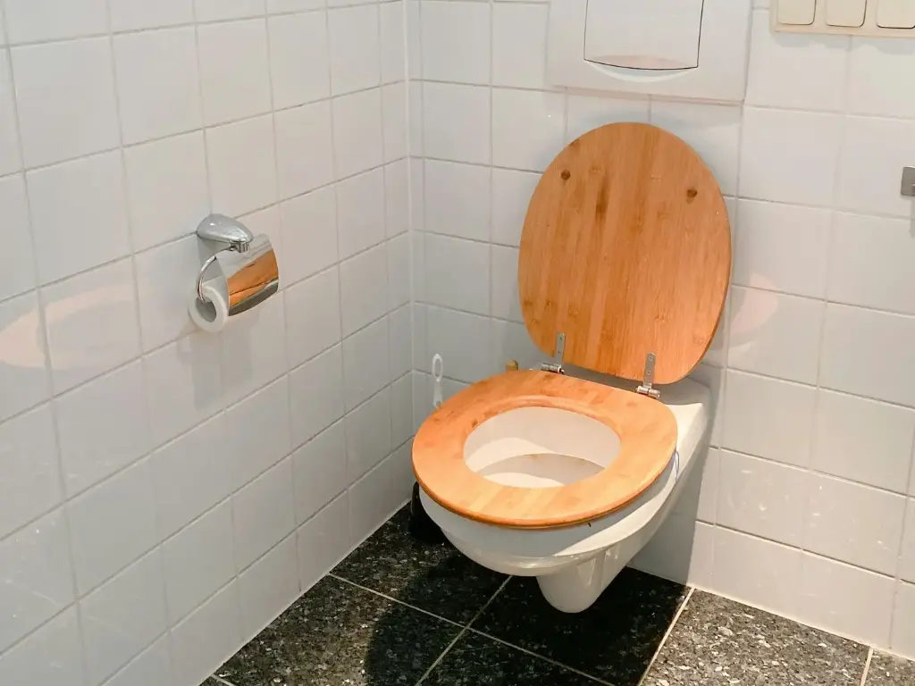 豪華木質馬桶蓋