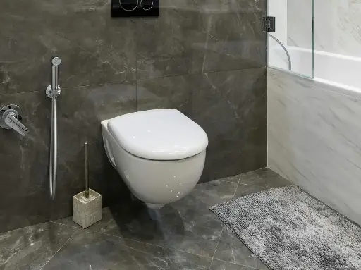 壁掛式馬桶本體