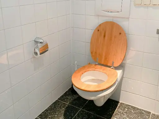 豪華木質馬桶蓋